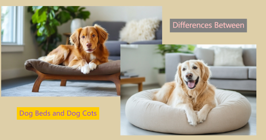 differences-between-dog beds-and-dog-cots