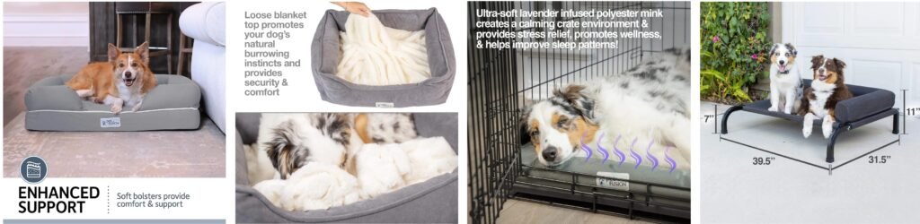petfusion-dog-beds