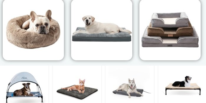 Most-Popular-Pet-Beds