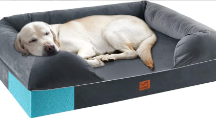 Cooling Gel Foam Orthopedic Dog Bed